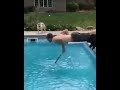 FUNNY DOGS/FUN VIDEO