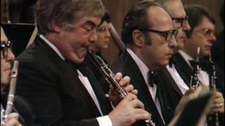 Watch Leonard Bernstein Finale video