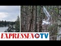 Flygplanskrasch i Umeå – vittne filmade