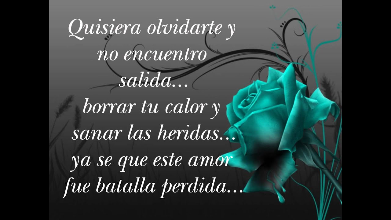 Te amo mas que a mi vidaHany Kauam (letra).wmv YouTube