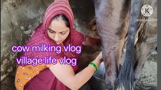 Cow Milking Vlog Episode