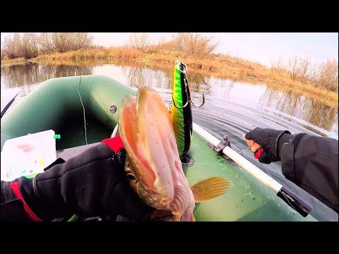 ловля окуня на реке с берега ловля окуня на реке с берега
