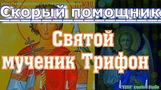 Скорый Помощник: Святой Мученик Трифон. Сильная Молитва На Исцеление, Просите Здоровья