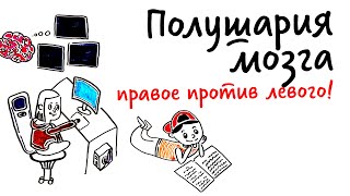 Полушария Мозга: Правое Против Левого! — Научпок