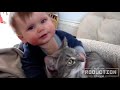 Babies annoying cats – Funny baby & cat compilation