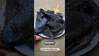 Dünyanın En İlginç Tavuğu..