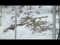 Swiss Trains: Bernina Pass, Alp Grüm-Ospizio cab view 04Jan13