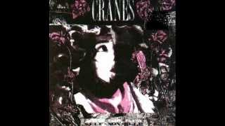 Watch Cranes Heaven Or Bliss video