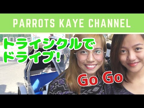パロッツ君の先生とトライシクルでドライブしませんか