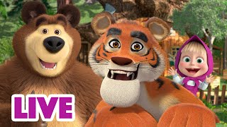 🔴 Live Stream 🎬 Masha And The Bear 🤗 Friends, Assemble! 📍🗺️