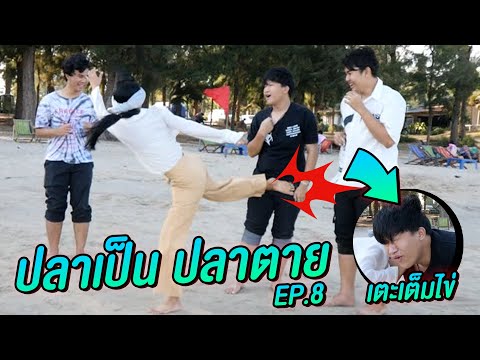 เล่นปลาเป็นปลาตาย | ที่ทะเลหัวหิน