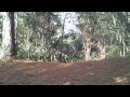 Pro Riders - Pro Riders Nas Pistas [PREVIEW]