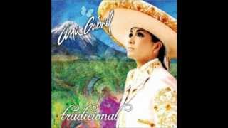 Watch Ana Gabriel Tu Y Las Nubes Banda video