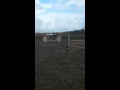 Ferome van de Eenhoorn L parcours Heiloo