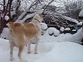 ><br >Сайт: money<br >Телефон в 