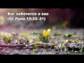 Тихое время с Живой Жизнью: от Луки 12:22–34 (03032017) Тихое время с Живой Жизнью: от Луки 12:22–34 (03032017)