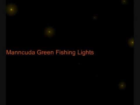 Underwater Fishing Lights - NEW AA Battery Operated - Night Fishing Made Easy Underwater Fishing Lights Reviewcomet Underwater Fishing...