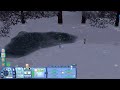 The Sims