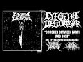 Starved And Hanging Video preview