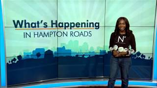 What's Happening Full Segment- Imbibe Festival, Fall Festival, NekoCon