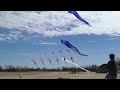 kite
