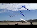 kite