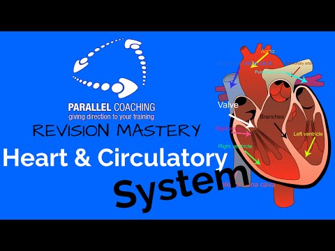 Module 1 The Heart and Circulatory System