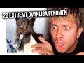 1000 kr på att du aldrig sett det här tidigare!