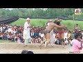 जावेद पहलवान की शानदार वापसी जावेद अली पहलवान vs पवन पहलवान कुश्ती javed gani pehlwan kushti