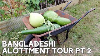 BANGLADESHI ALLOTMENT TOUR & VEGETABLE HARVEST ~ PART 2 #Bangladeshi #BangladeshiGarden