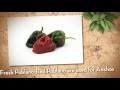 Ancho Chilli Buyers Guide