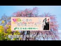 心音の花の里ごころ第3回2013年4月20日放送