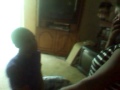 The funniest lesbian proposal shadayah & rosie lOl