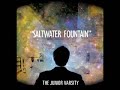 The Junior Varsity - Saltwater Fountain
