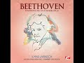 Symphony No. 9 in D Minor, Op. 125: III. Adagio molto e canatabile - Andante moderato – Tempo...