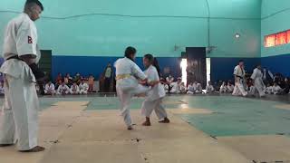 Girls Fight Kids Videos