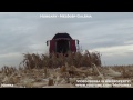 Case IH 8010 + NAS 876 cs & Geringhoff RotaDisc 9 rows