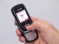 Foto pequena Celular BenQ Siemens AL21