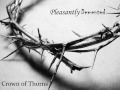 Crown of Thorns- Pleasantly Demented