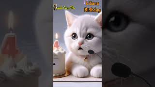 Liliana Happy Birthday Happy Birthday Song With Names Adorable Cute Cat