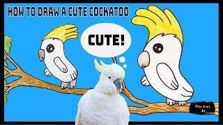 How to Draw a Cute Cockatoo in easy steps video