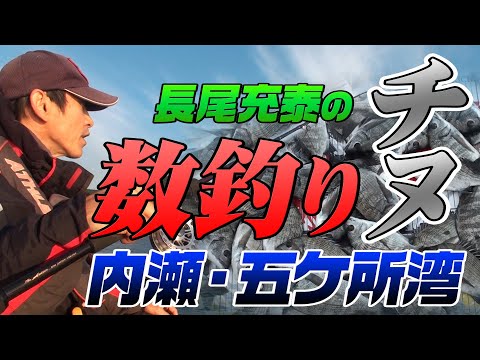 必見！長尾充泰のチヌ数釣り攻略法！in 内瀬