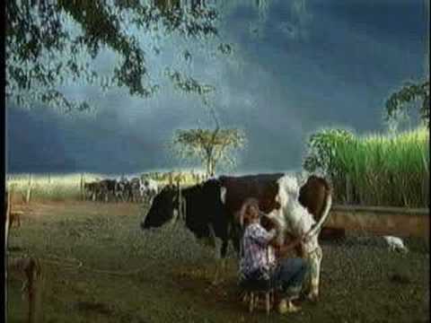 Mulheres Fudendo Videos - Mulheres Fudendo Video Clips - Mulheres