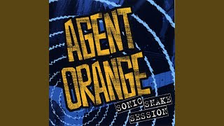 Watch Agent Orange so Strange video