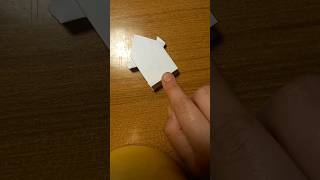 Rana Salterina Origami