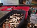 Video Making Money Scrapping Recycling Insulated Wire Aluminum & Stainless Steel