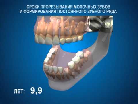 Детская брендовая обувь, Украина. Детская обувь День рождения