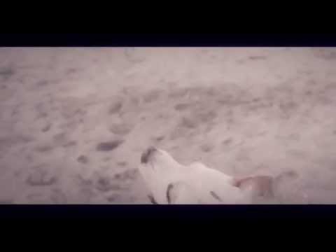 Ci Siamo Persi Video