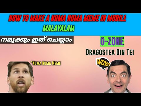 How To Make A Dragostea Din Tei Meme (numa numa) On Mobile | Malayalam