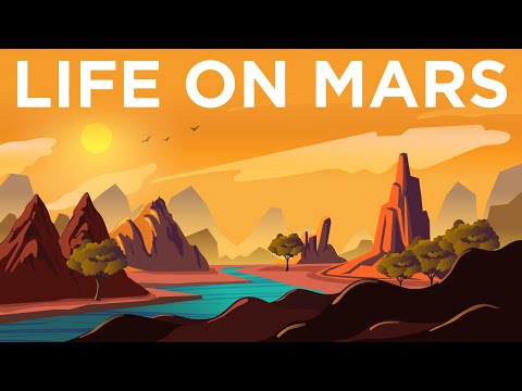What If There Was Life on Mars?